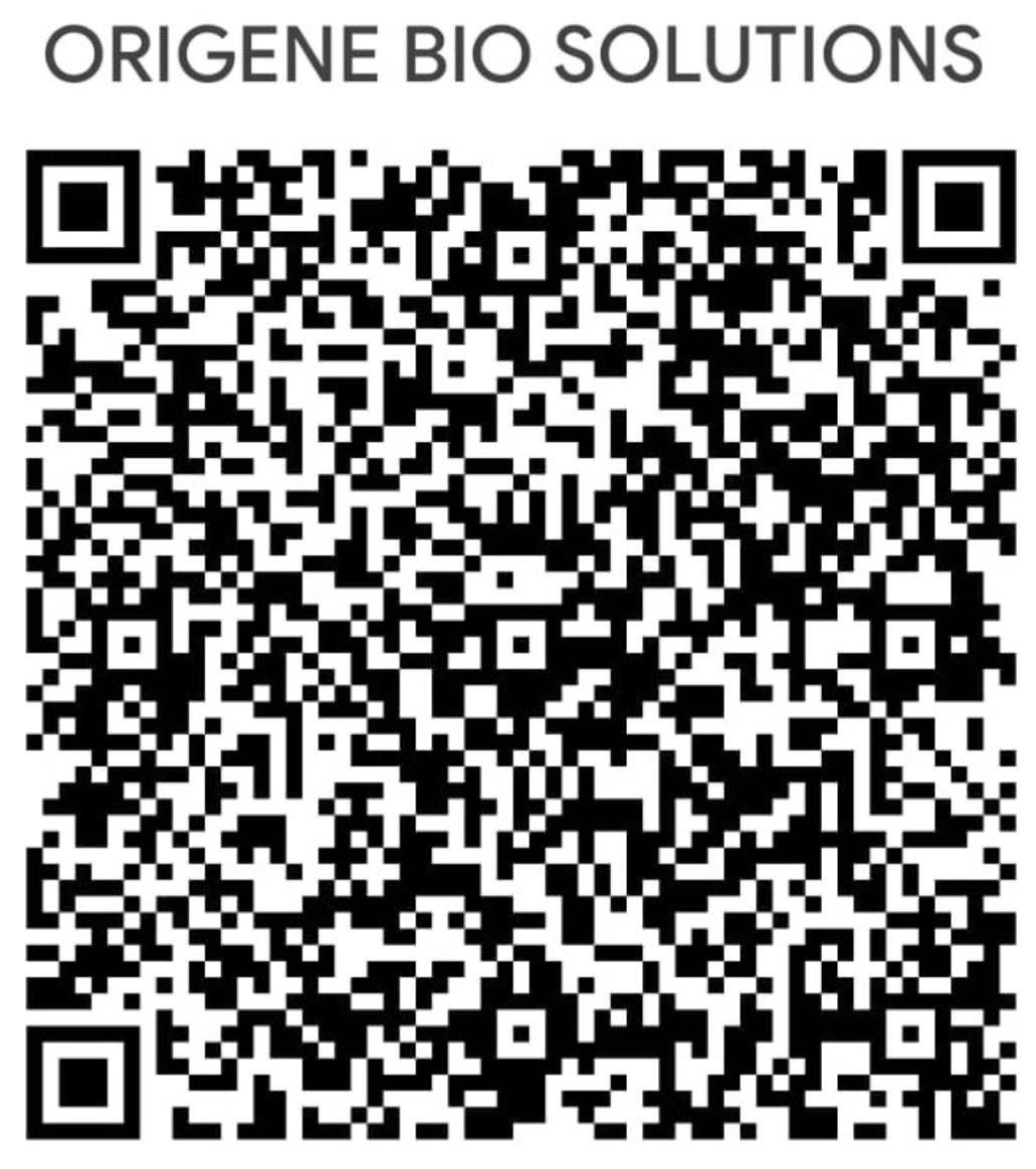 UPI QR Code